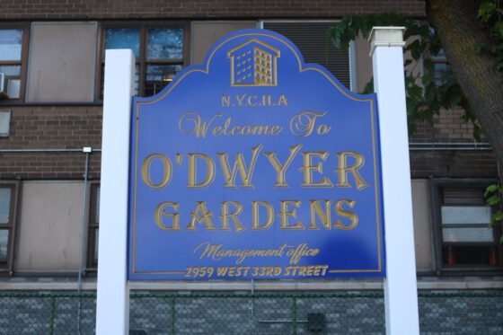 O'dwyer garden