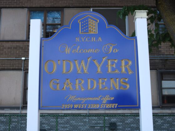O'dwyer garden