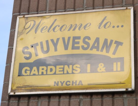 Stuyvesant Garden